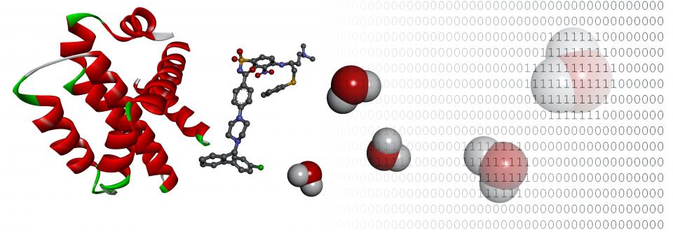 Huggins Molecules